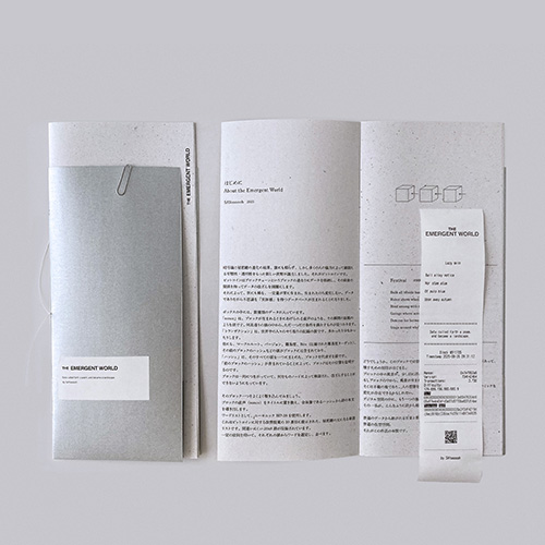 THE EMERGENT WORLD 2